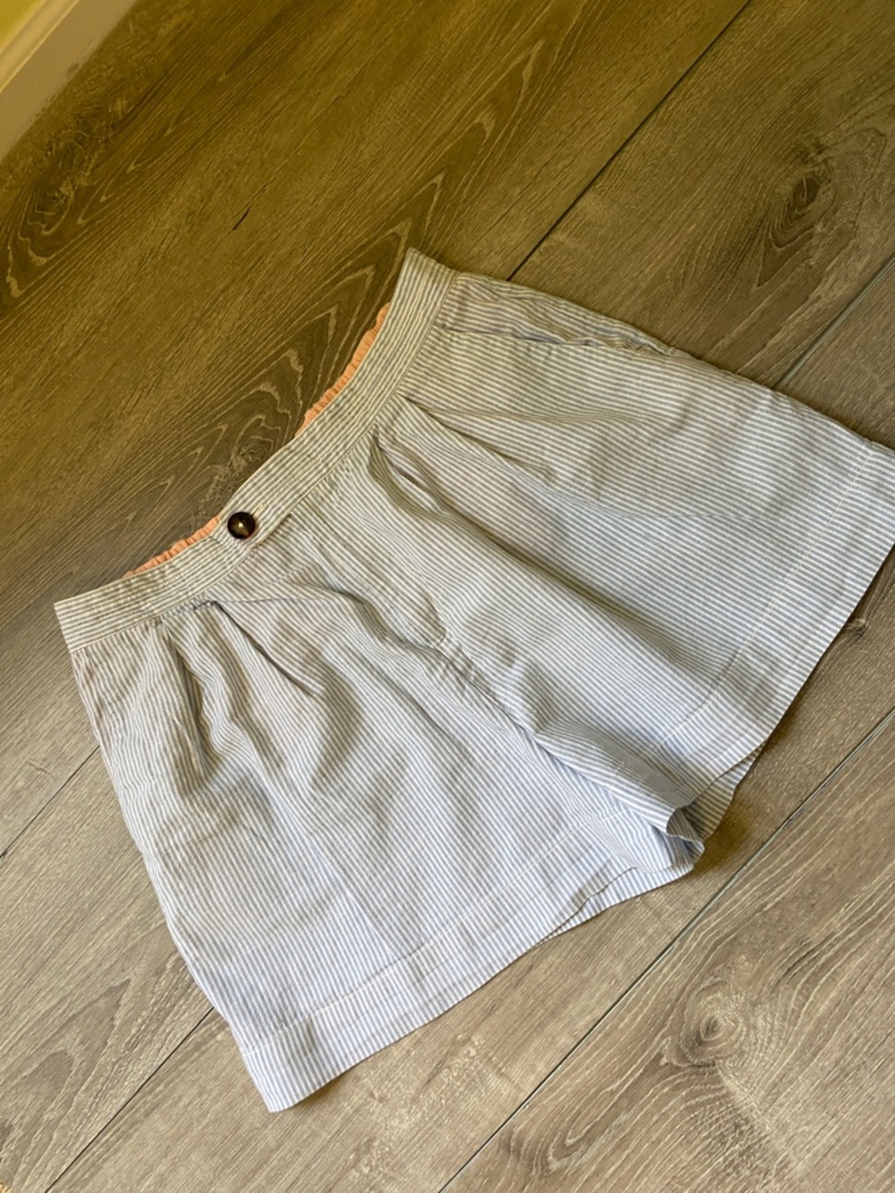 Anthropologie Light Blue and White Pinstriped Women’s Pleated Shorts